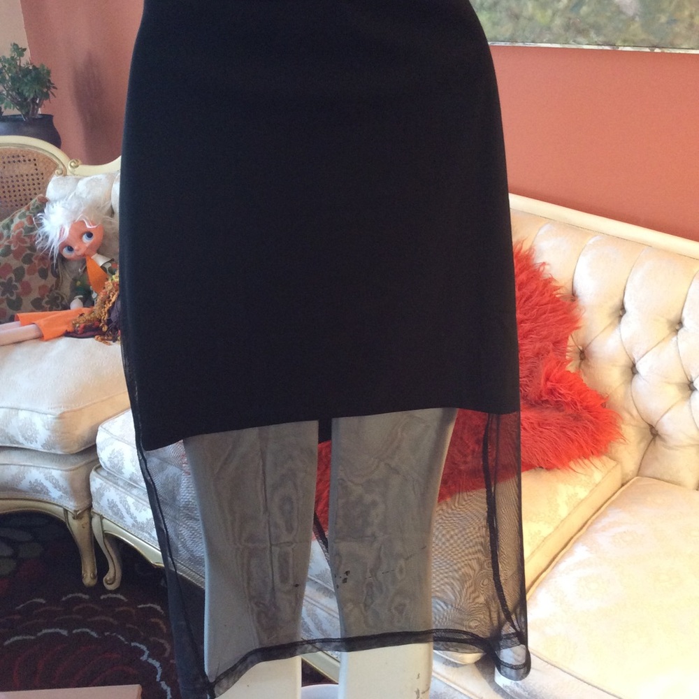 Italian sheer Pencil Skirt w mini lining